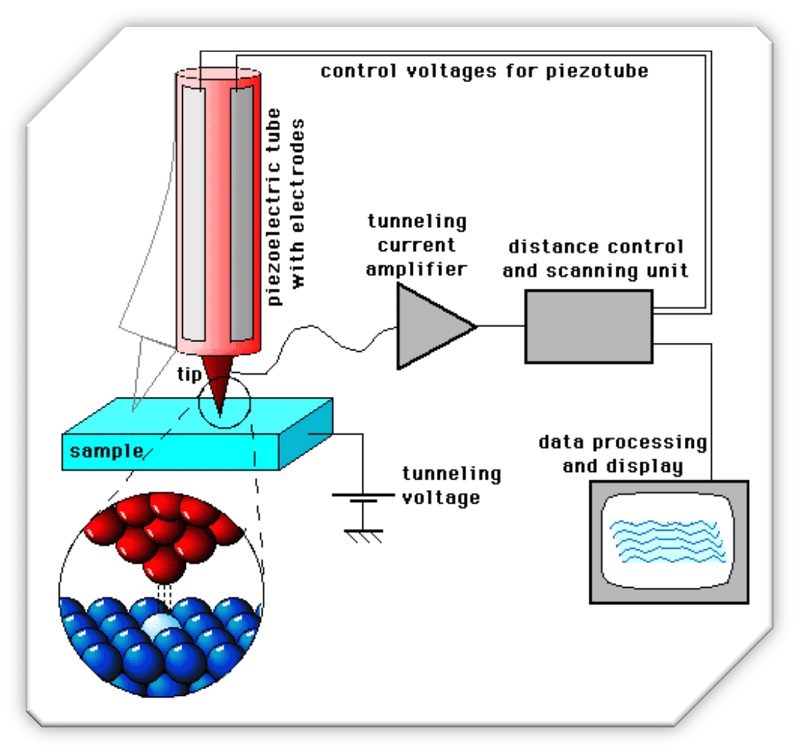 Scanning Tunneling Microscope Diagram